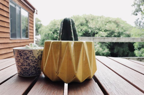 Red Ceder Cottage - Great Ocean Road - Port Campbell - ACT Tourism 21