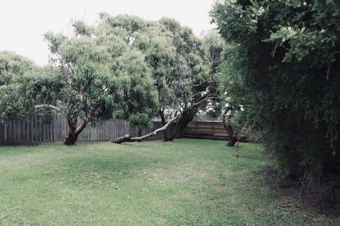 Red Ceder Cottage - Great Ocean Road - Port Campbell - ACT Tourism 24