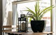 Complete Host 50 Claremont St Apartments - thumb 27