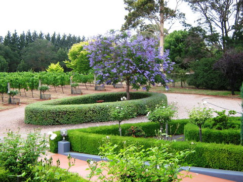 Waybourne- Vineyard And Winery - ACT Tourism 3