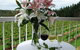 Waybourne- Vineyard And Winery - thumb 10