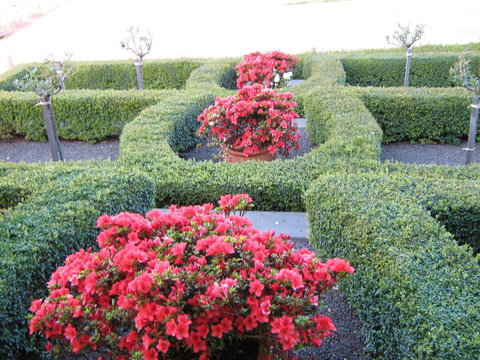 Waybourne- Vineyard And Winery - ACT Tourism 4