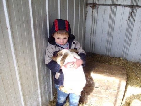 Aspens Springs Farmstay - ACT Tourism 28