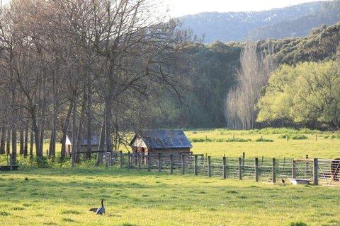 Aspens Springs Farmstay - ACT Tourism 25