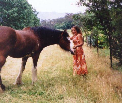 Aspens Springs Farmstay - ACT Tourism 31