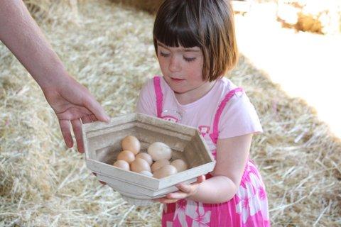 Aspens Springs Farmstay - ACT Tourism 27