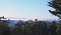 Book Monbulk Accommodation Vacations ACT Tourism ACT Tourism