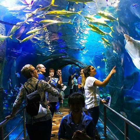 South Wharf Melbourne - ACT Tourism 18