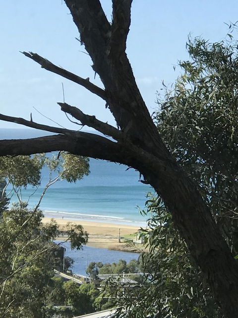 Lorne Sea View Terrace House - ACT Tourism 12