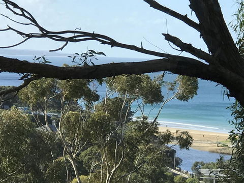Lorne Sea View Terrace House - ACT Tourism 10