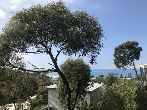 Lorne Sea View Terrace House - ACT Tourism 26