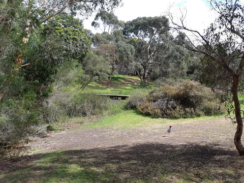 Elevated Holiday House Overlooks Tranquil Wetlands - ACT Tourism 11