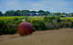 Sunryes Beach House - thumb 35