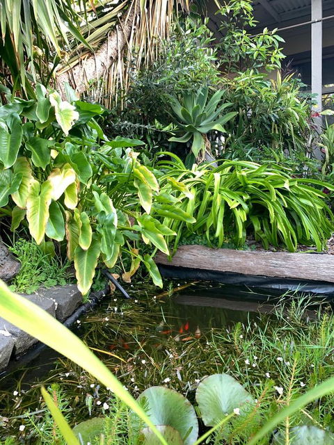 Sunryes Beach House - ACT Tourism 30
