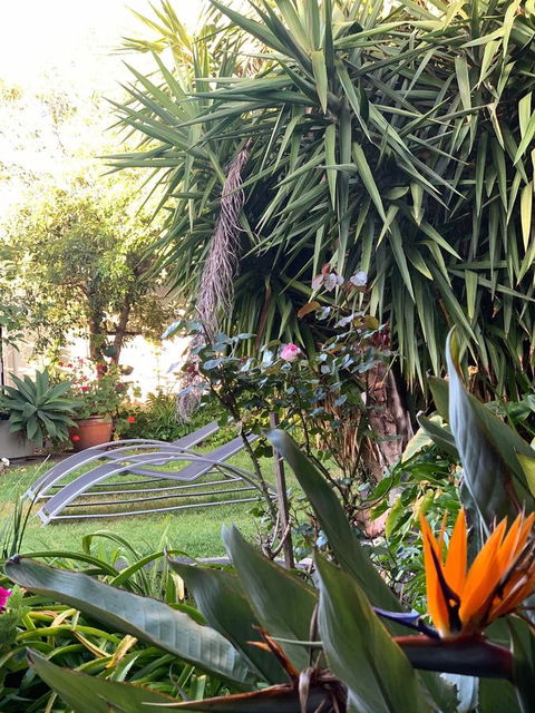 Sunryes Beach House - ACT Tourism 32