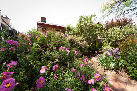 National Hotel Complex Bendigo - ACT Tourism 21