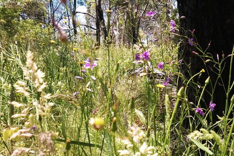 Grampians Pomonal Cottages - ACT Tourism 31