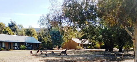 Grampians Pomonal Cottages - ACT Tourism 6