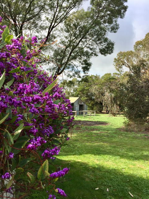 Grampians Pomonal Cottages - ACT Tourism 21
