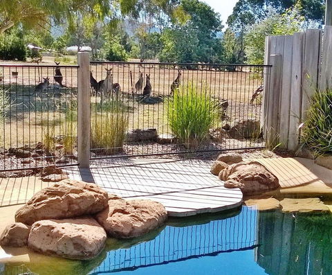 Grampians Pomonal Cottages - ACT Tourism 24