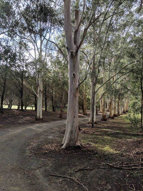 Kangaroo Manor - ACT Tourism 10