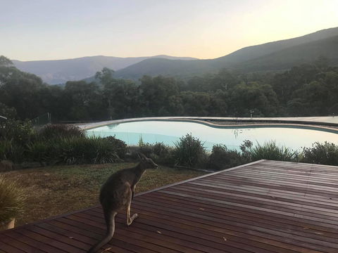 Kangaroo Manor - ACT Tourism 8