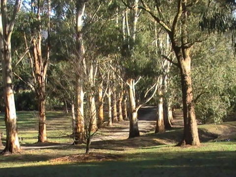 Kangaroo Manor - ACT Tourism 21