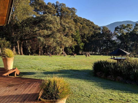 Kangaroo Manor - ACT Tourism 5
