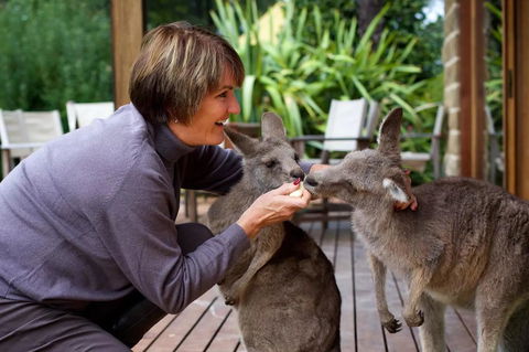 Kangaroo Manor - ACT Tourism 20