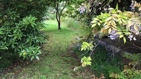 Lorelei Bed & Breakfast - ACT Tourism 10