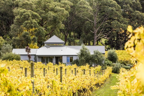 Polperro Villas - ACT Tourism 22