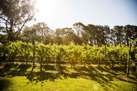 Polperro Villas - ACT Tourism 18