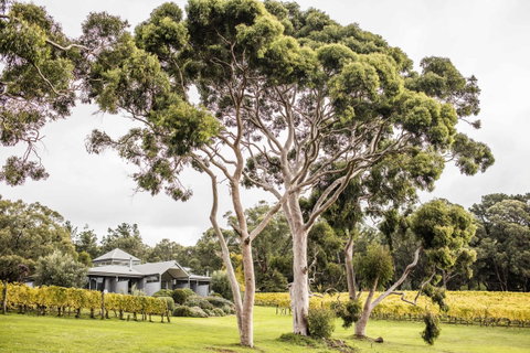 Polperro Villas - ACT Tourism 20