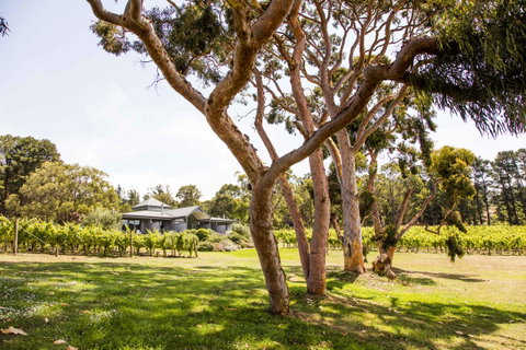 Polperro Villas - ACT Tourism 17