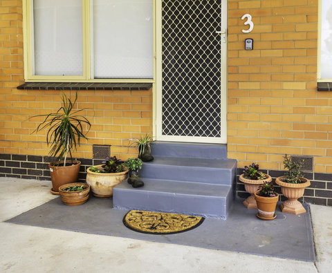 Bacchus Centro - ACT Tourism 8