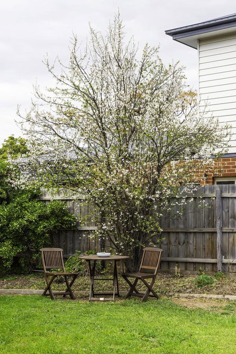 Bacchus Centro - ACT Tourism 9