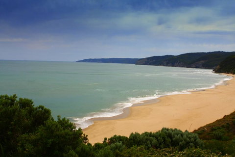 Johanna Seaside Cottages - ACT Tourism 28