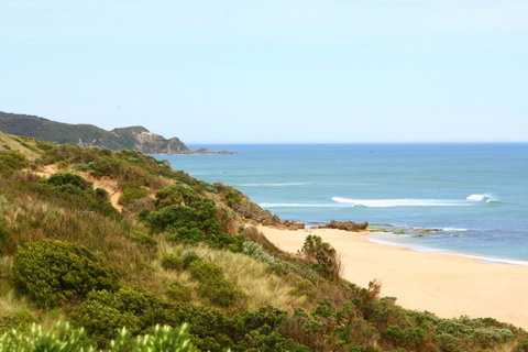 Johanna Seaside Cottages - ACT Tourism 27