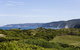 Johanna Seaside Cottages - thumb 13