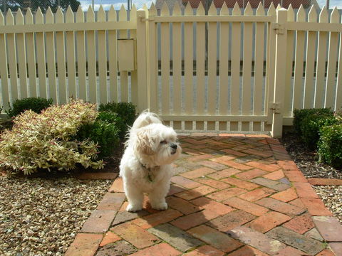 Sabina On Little Myers - ACT Tourism 24