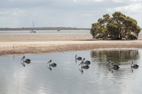 BIG4 Breeze Holiday Parks - Rainbow Beach - ACT Tourism 32