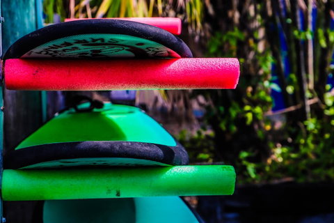 Cool Bananas Backpackers - ACT Tourism 39