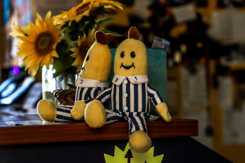 Cool Bananas Backpackers - ACT Tourism 30