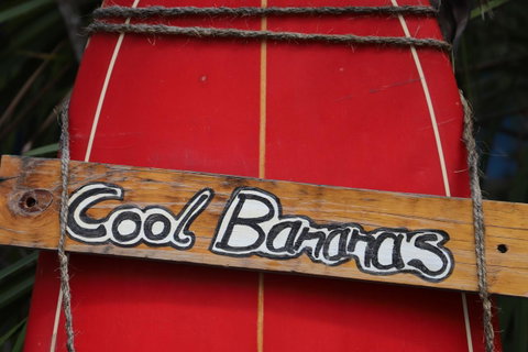 Cool Bananas Backpackers - ACT Tourism 41