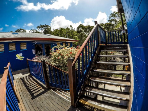 Cool Bananas Backpackers - ACT Tourism 27