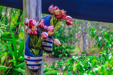 Cool Bananas Backpackers - ACT Tourism 26