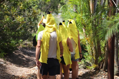 Cool Bananas Backpackers - ACT Tourism 19