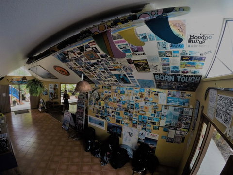 Cool Bananas Backpackers - ACT Tourism 31