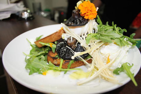 10 Hastings Street Motel - ACT Tourism 29