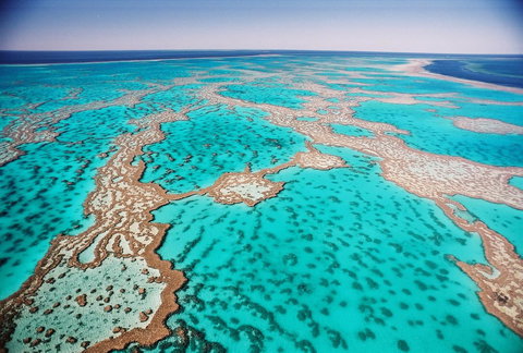 Poinciana 112 - ACT Tourism 20